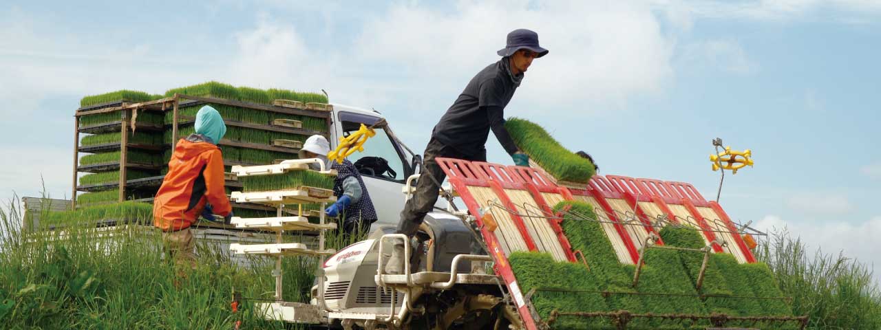 生産部門